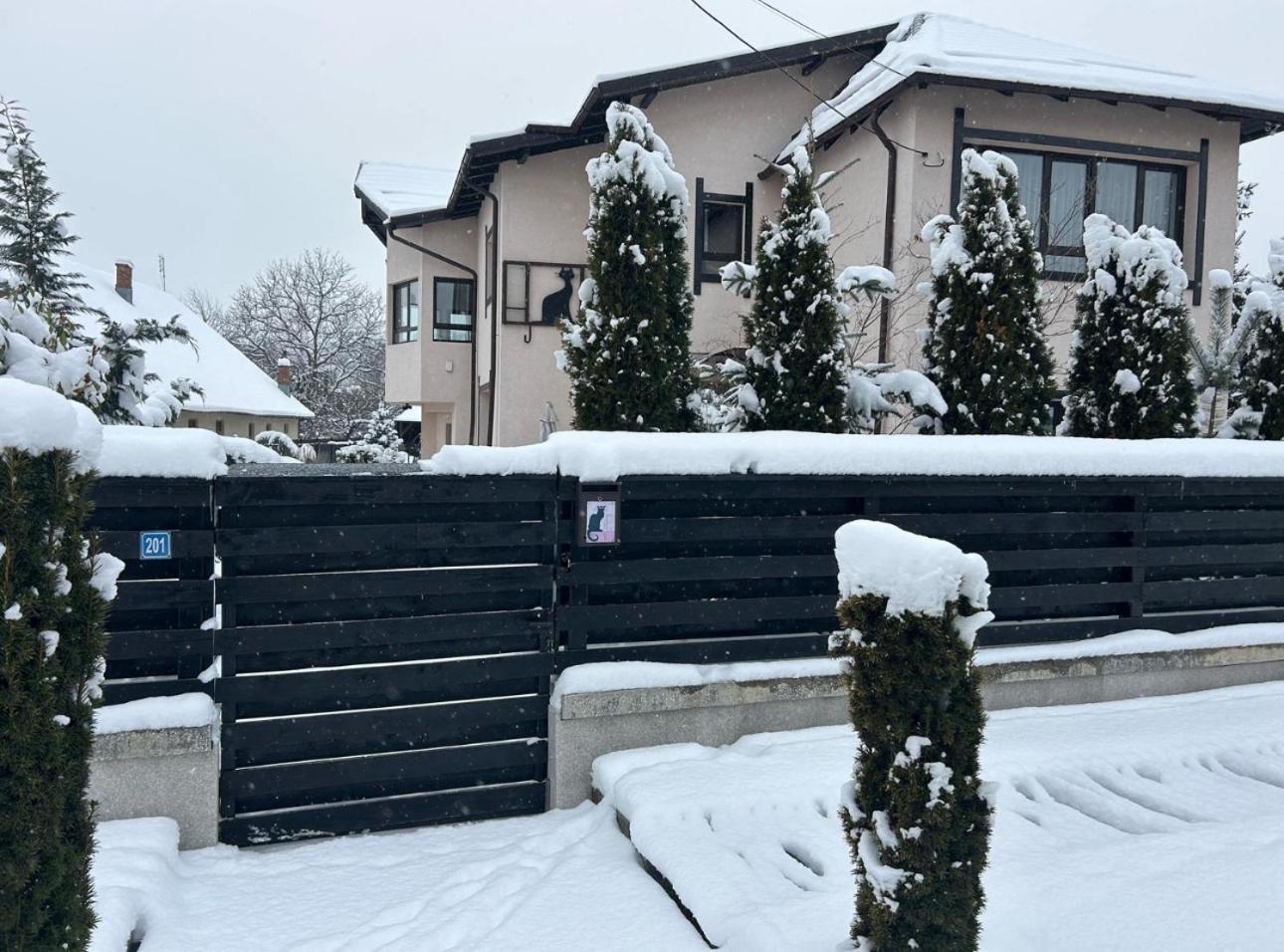 Hotel Casa Pisica Noastra Breaza  Zewnętrze zdjęcie