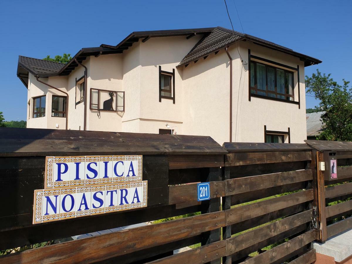 Hotel Casa Pisica Noastra Breaza  Zewnętrze zdjęcie
